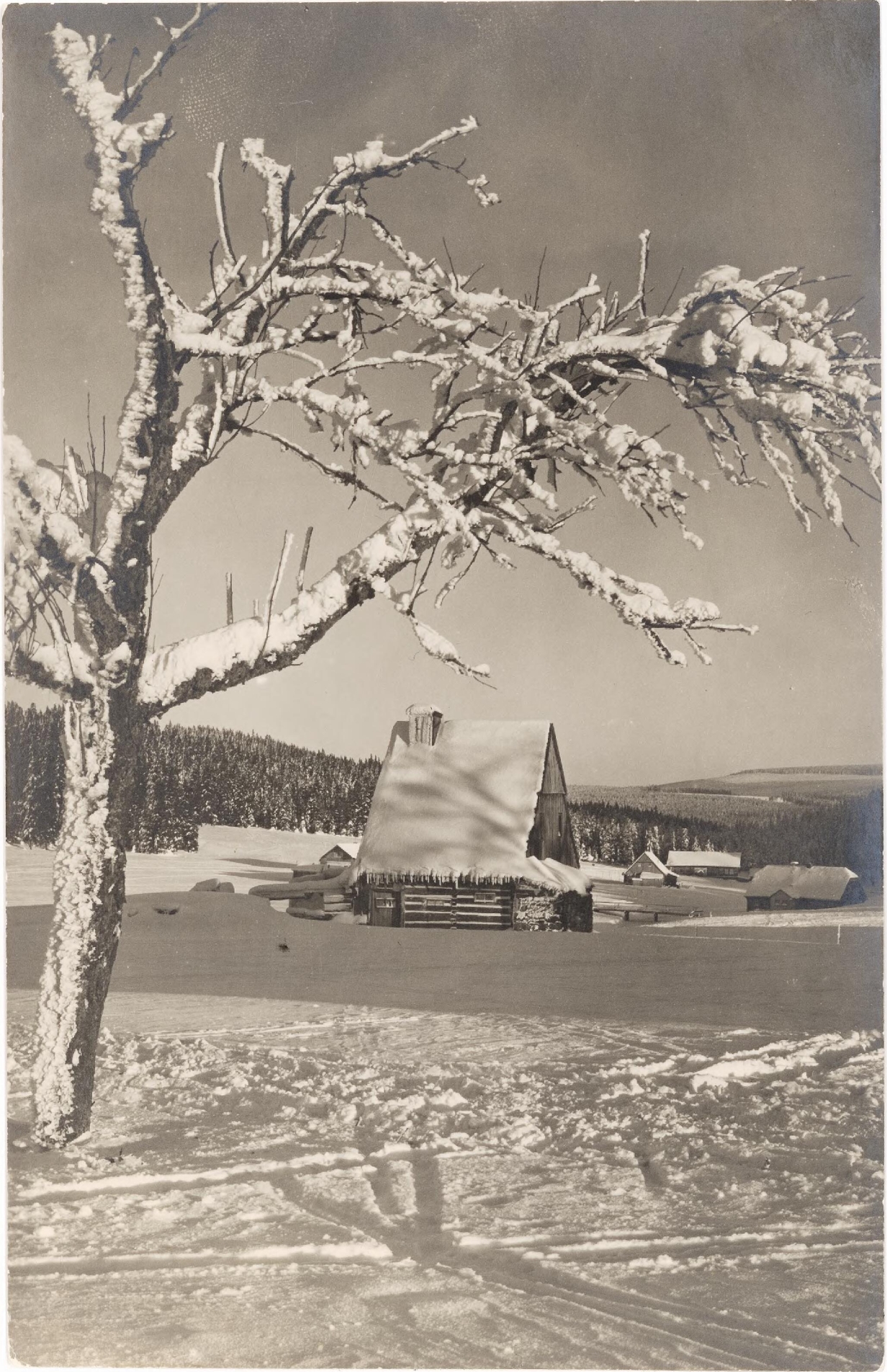 Jizerka/Kořenov (Klein Iser, früher Wilhelmshöhe) 1929 (archiv Michal Kmínek)