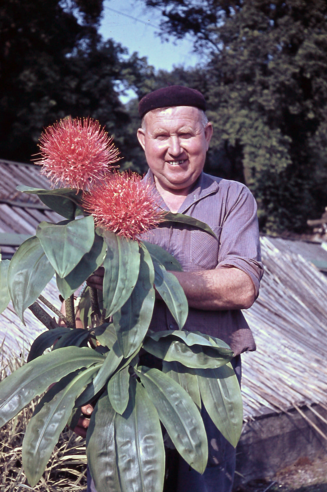 Václav Svoboda (*28. října 1918, †12. května 2017)