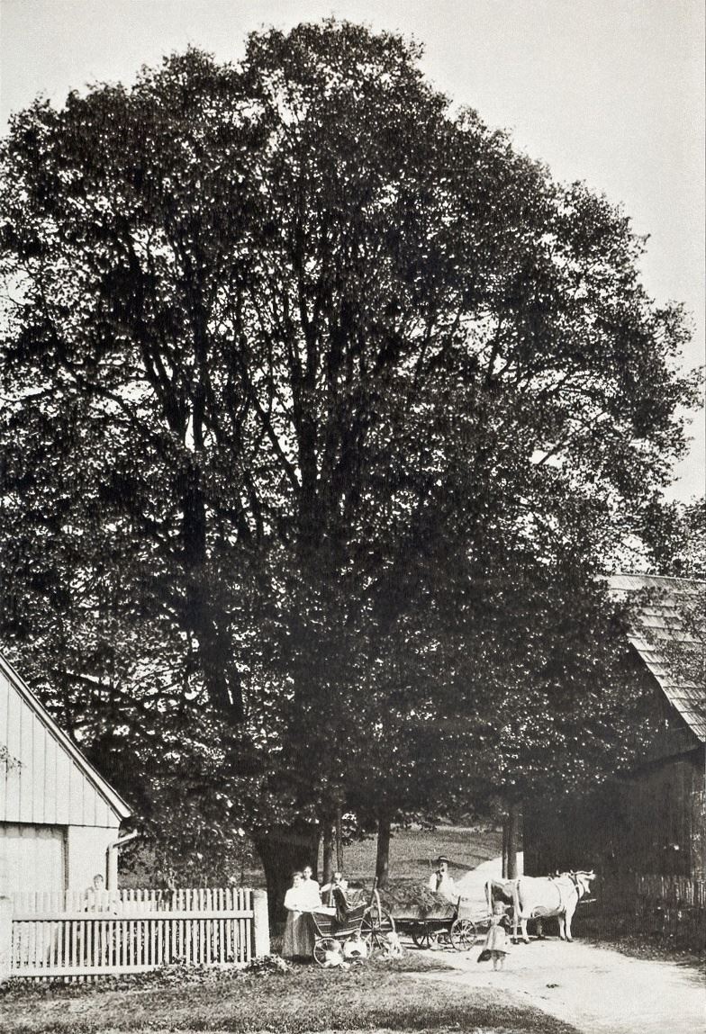 archiv M.Havrda