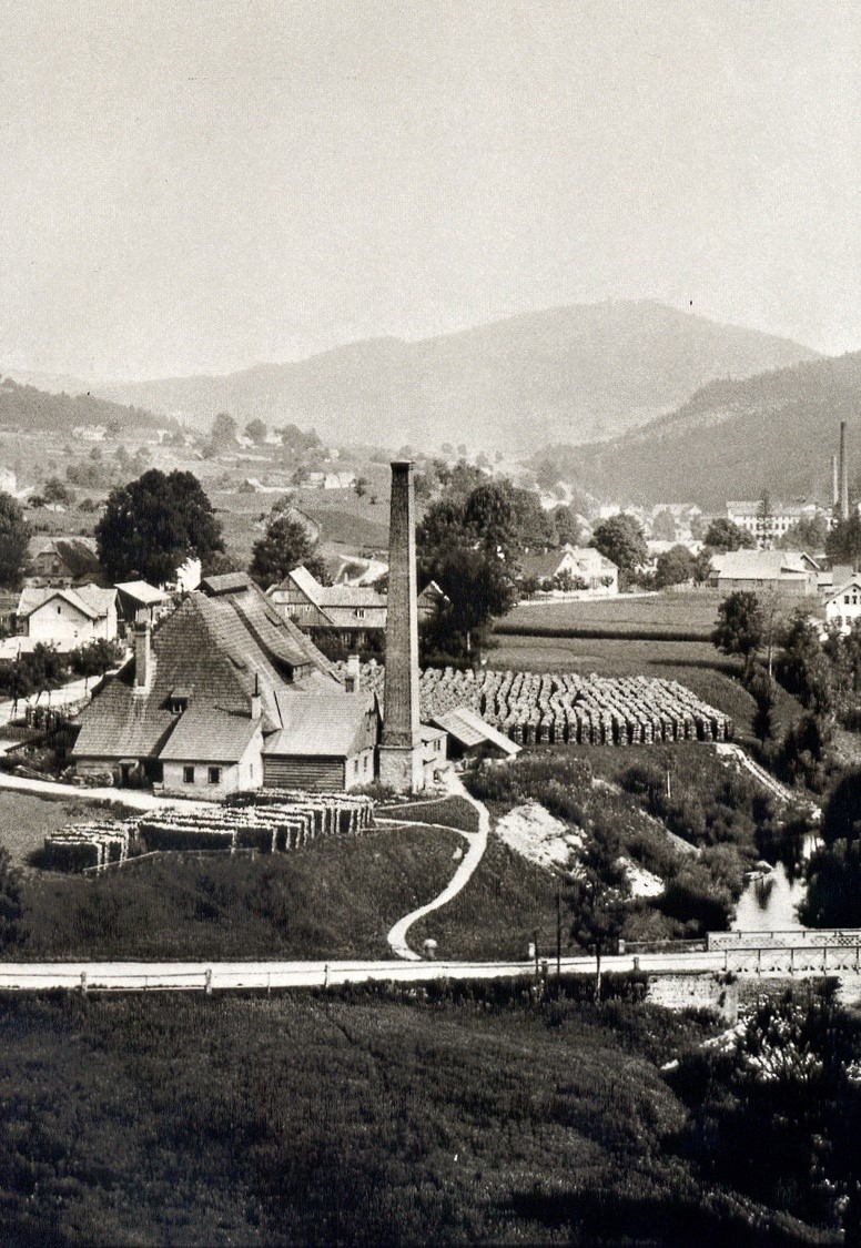 archiv M.Havrda