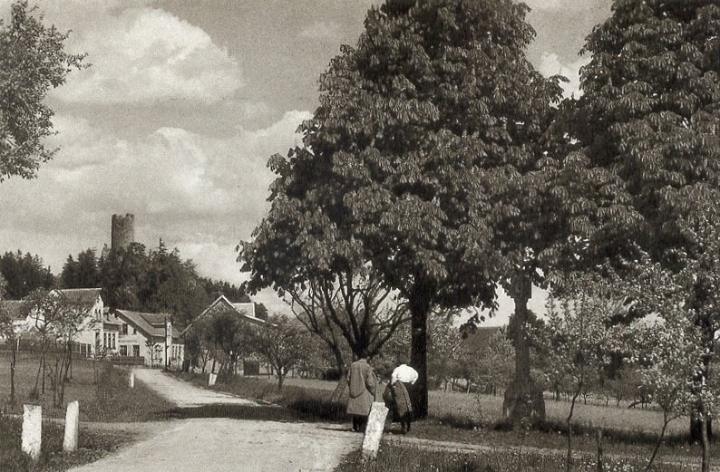 archiv M.Havrda