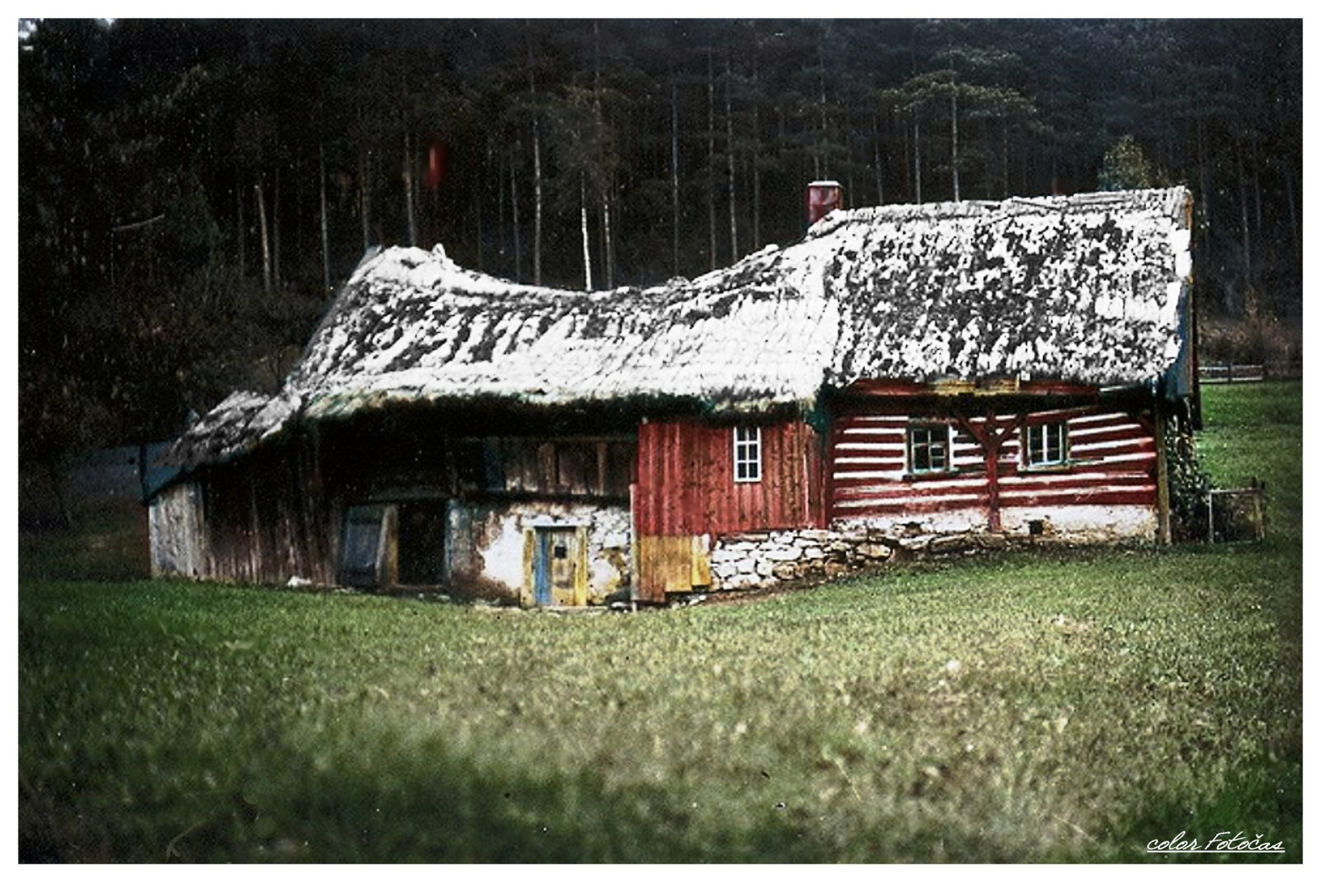 Říkal pan Dvořák, že chaloupka prý stála v Pelíkovických lesích za rychnovským kopcem. Pelíkovice jsou za kopcem v Rychnově, směrem na Turnov...  color Fotočas