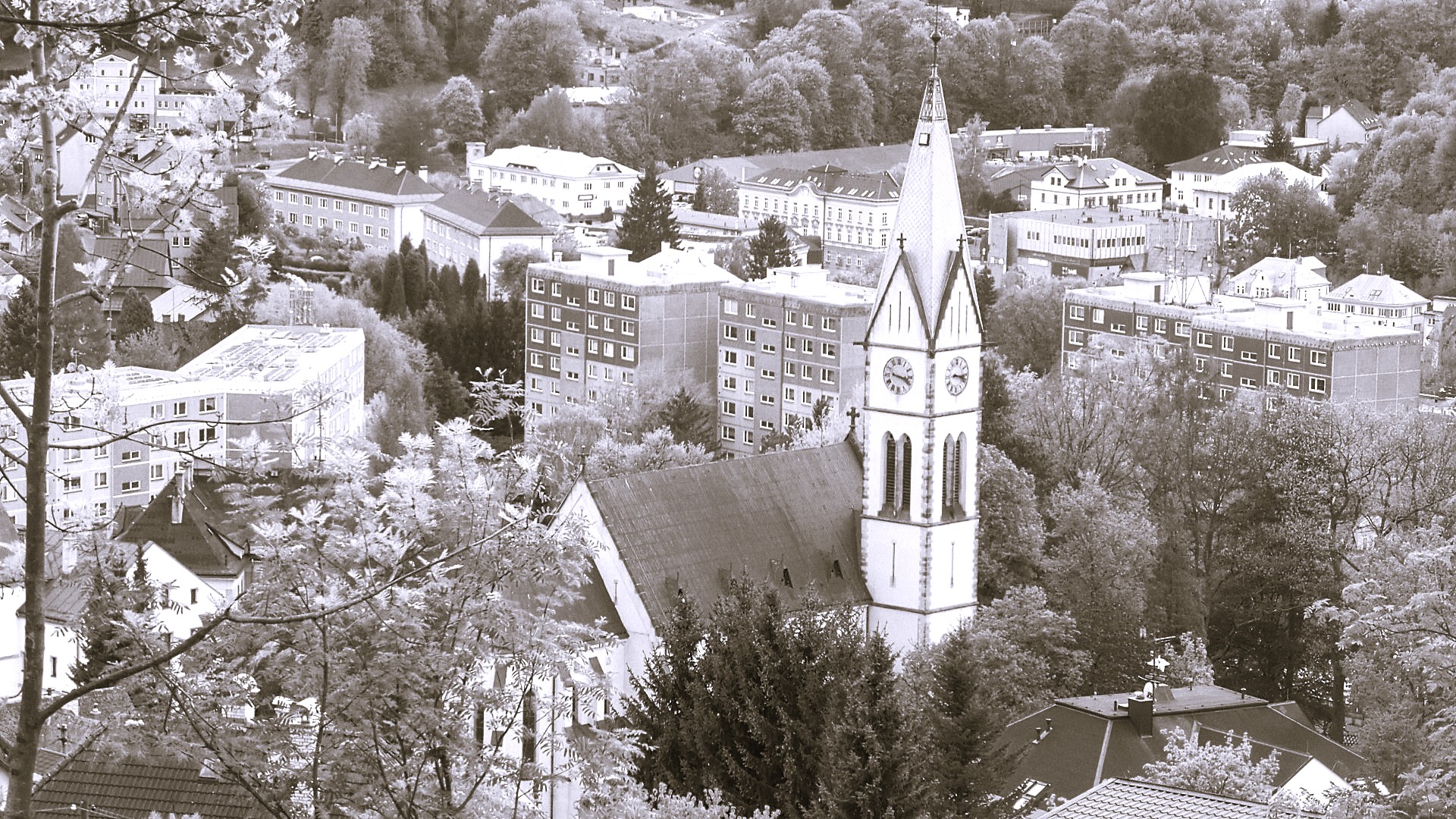 archiv Bohunka Hladíková