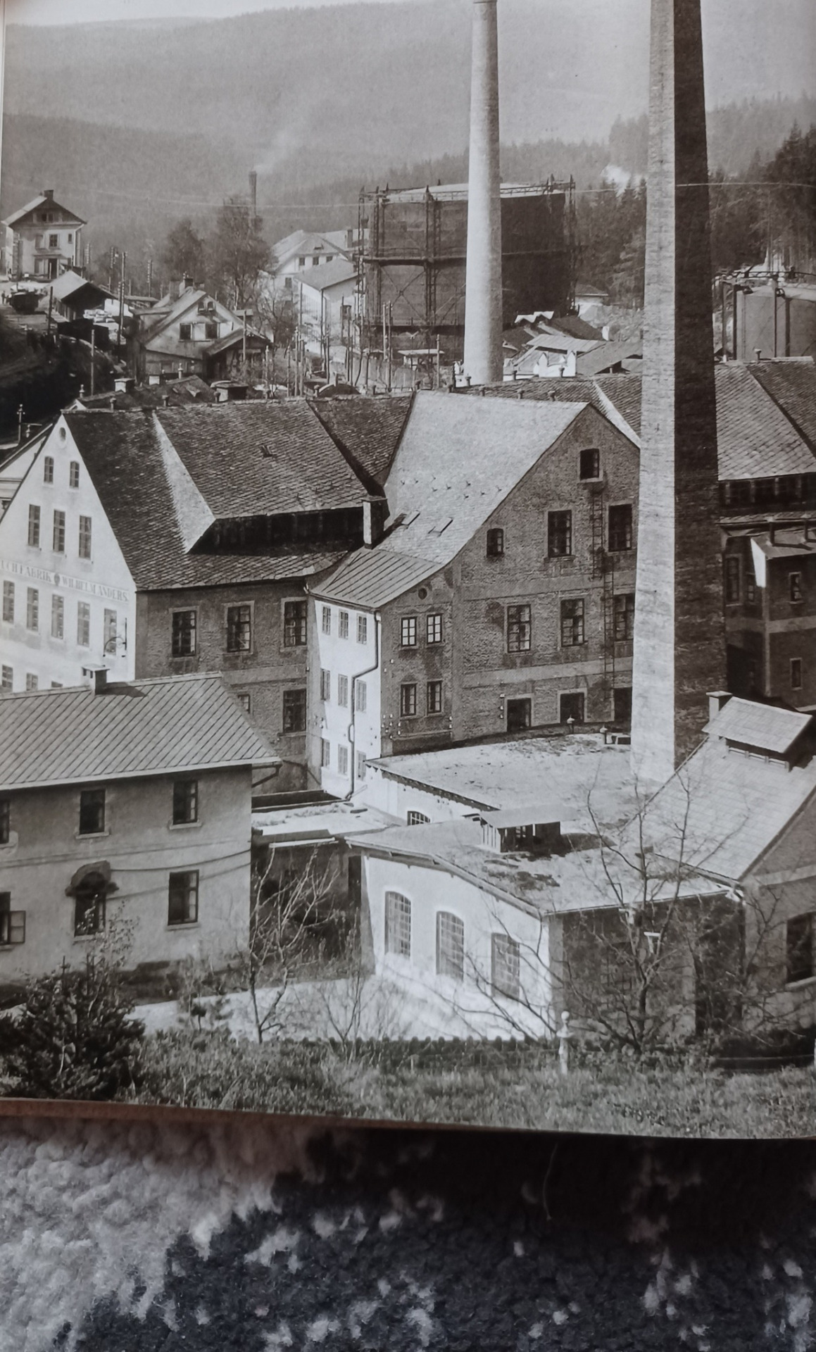 archiv Iveta Mowaldová