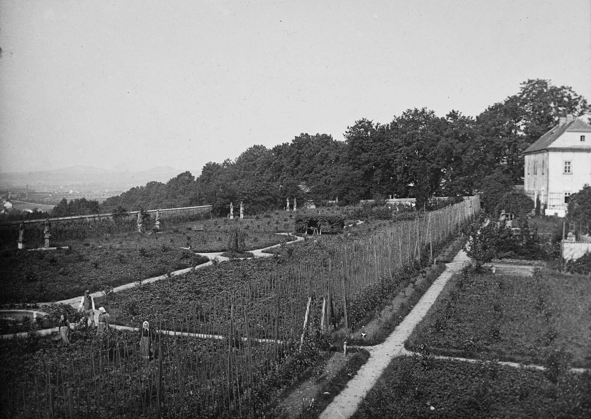 Zahrada za Bredovským zámečkem - Pracovnice okopávají brambory a pan správce na ně dohlíží. Cca 1920. (archiv Pavel Štekl)