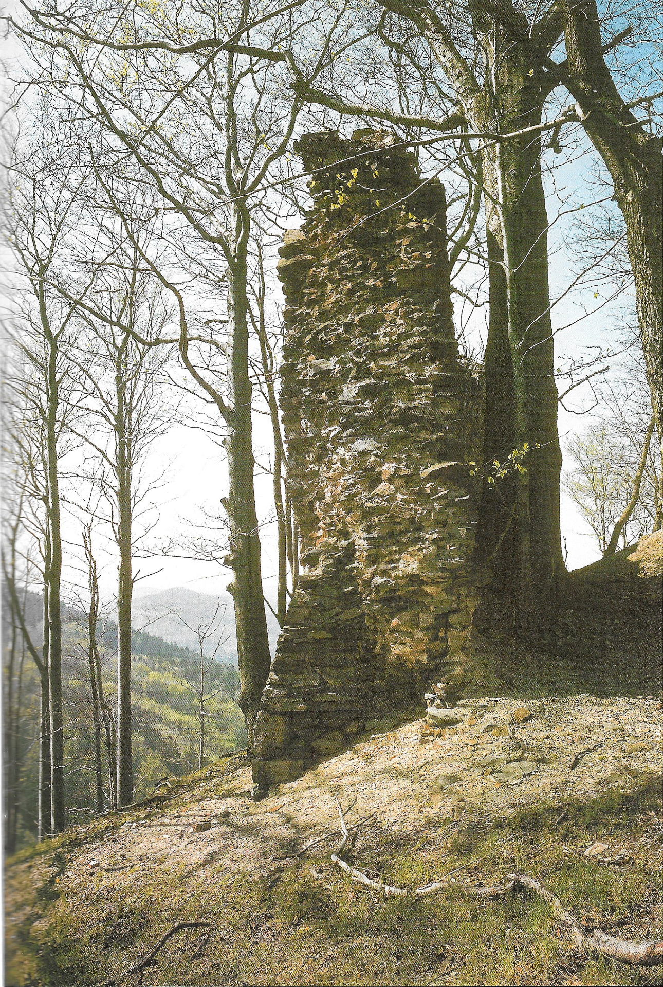 Východní pomezí grabštejnského panství střežil hrad Roimund