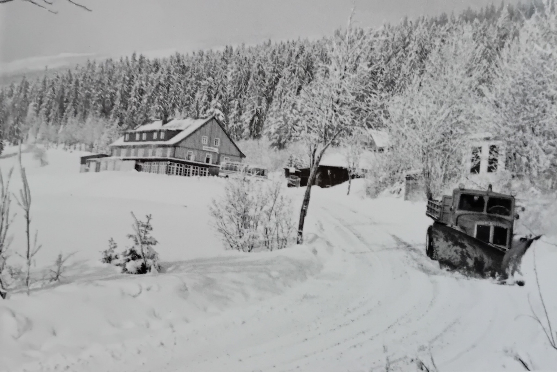 Petr Táta Jankele : Stará Jilemnická, to byla romantika... 84-88 jsme jako študáci trávili každé prázdniny na Horních Mísečkách (byl brigádnický "vysokohorský příplatek" za práci nad 1.000 m.n.m. 😉🤩). Náš "zaměstnavatel", TJ SOKOL Krč sídlil v chatě Alpina (prosvítá štít pod lesem mezi stromy), hned pod základnou SUS... Jilemnickou jsme každý rok postupně "předělávali", dělali jsme v suterénu bar, diskotéku, a nakonec jsme stařičkou boudu 88 v létě začali bourat... Každopádně, staré Mísečky byly neopakovatelné, Hořec, Kleč, Novomísečná, Staromísečná, Cáchovna, Benzina... milovali jsme to. A já přišel po revoluci z kraje zpátky do Jilemnice, stal se šéfem Obvodního stavebního úřadu v Jilemnici a vrátil se znovu na Mísečky jako do "svého ohromného revíru" od Labské boudy po Čistou u Horek a Horka u St.Paky, od Poniklé po Valteřice... Byly to krásné časy 🙆🏼♂️😉🤗✨🍀