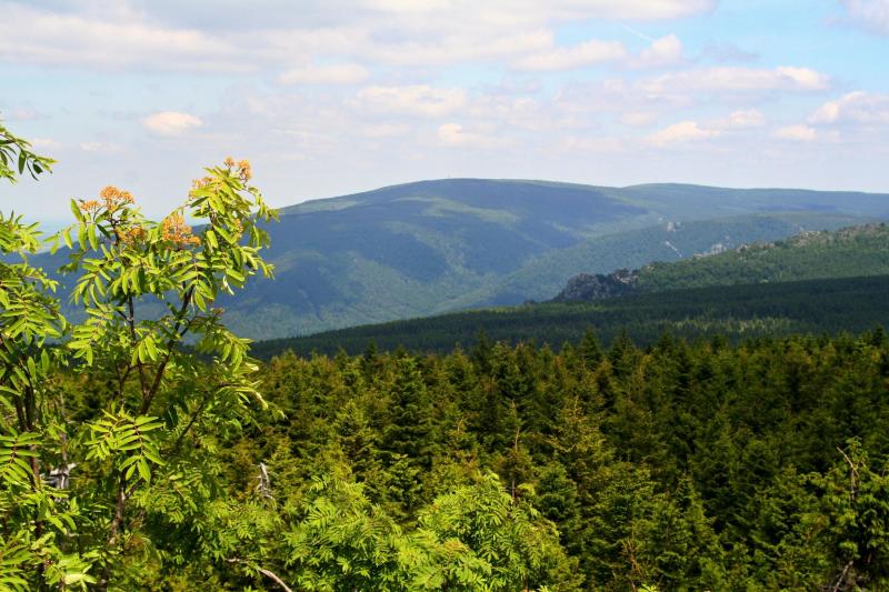 Pohled na Smrk z Holubníku Autor: Svenzittauer 65/2022