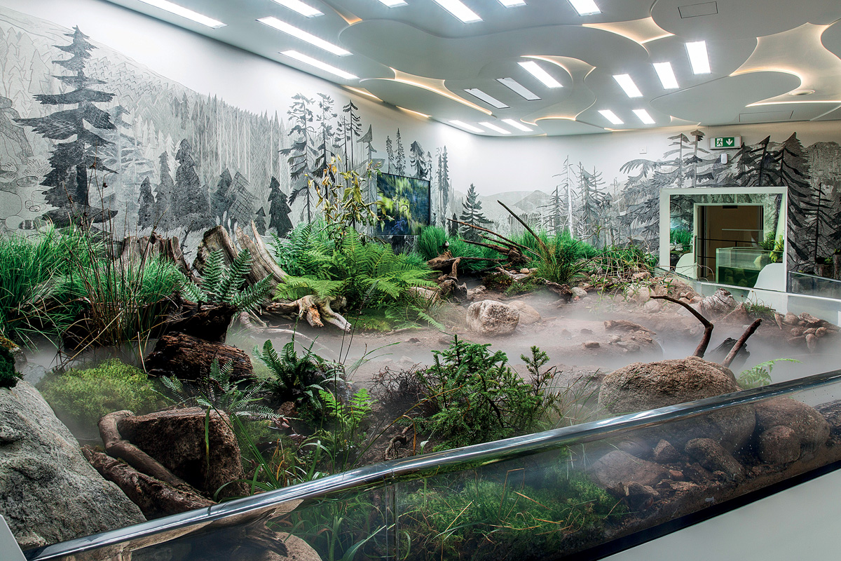 Muzeum Krkonoš ve Vrchlabí