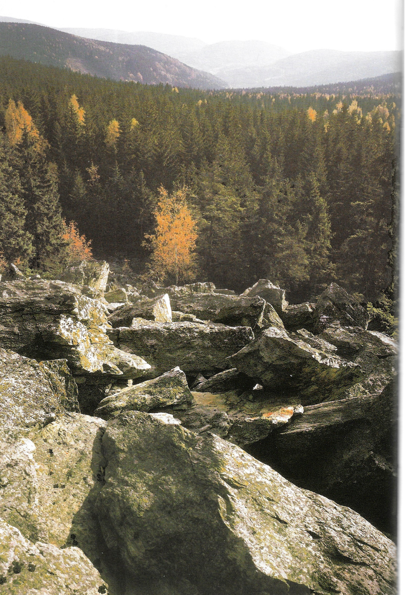 Kryštofovy hřbety   z Černé hory. Vzadu vpravo Dlouhá hora, před ní údolí Rokytky   s ukrytým Kryštofovým Údolím.