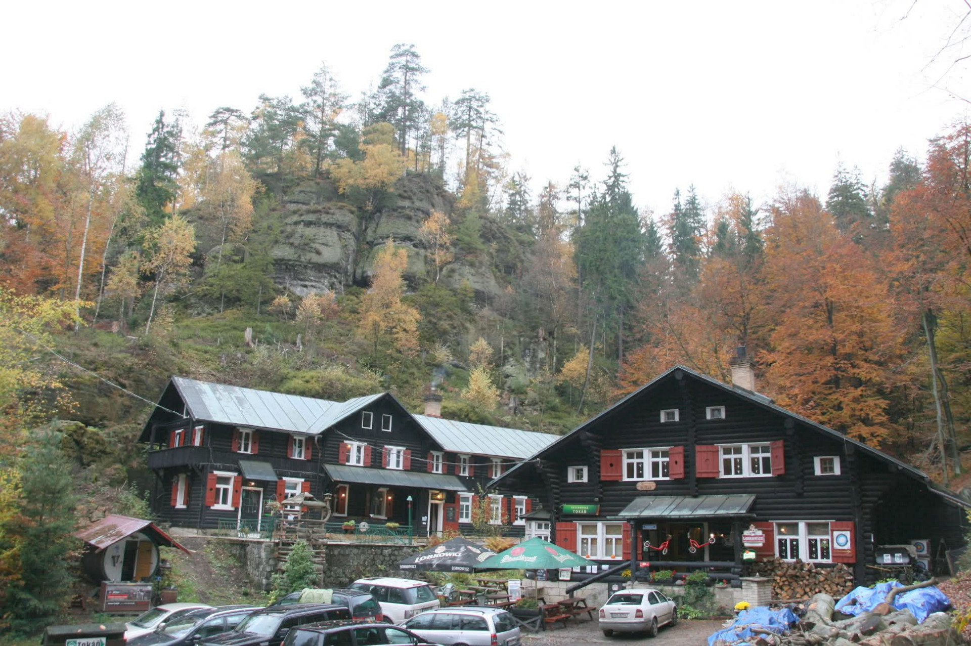 Milan Nepraš Novák