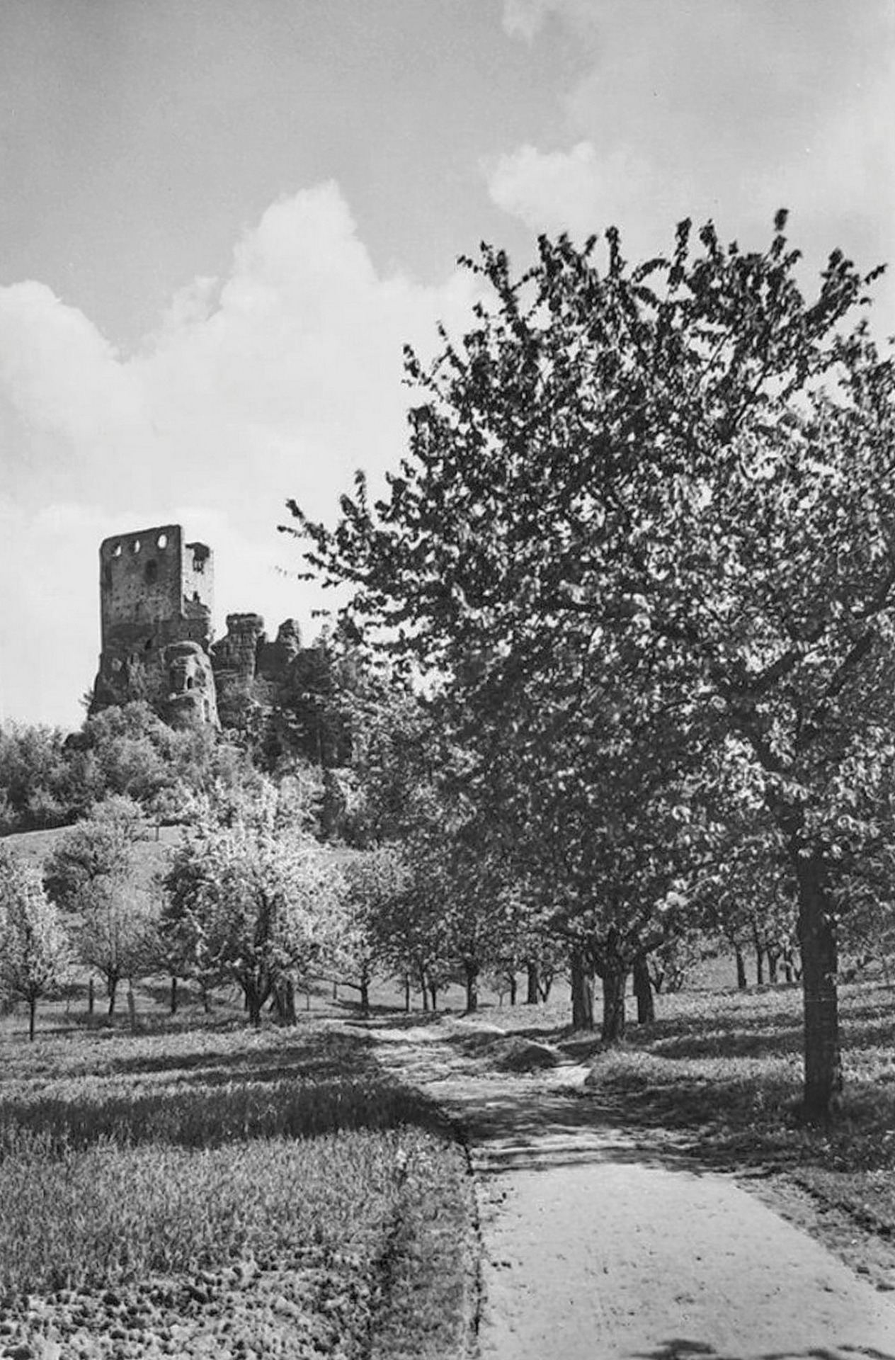 Zřícenina hradu Valečov-1943 Původní dřevěný hrad postavili Valečovští z Valečova po roce 1300. Jeho podoba byla ovlivněna pískovcovými skalami, v nichž byl částečně vytesán a poté doplněn dřevěnými stavbami. O původním dřevěném opevnění svědčí stopy silného požáru z roku 1439 na skalách v parkánu, a v místech původní hradby. Až v 16. století byl dostavěn zděný palác. Hrad byl udržován do třicetileté války, po jejím konci začal chátrat a sloužil jako obydlí chudiny a zdroj levného stavebního materiálu. Poslední obyvatelé skalních bytů zde přebývali až do roku 1892, kdy se museli na základě nařízení c. k. okresního hejtmanství v Mnichově Hradišti vystěhovat. (archiv J.Peterka)