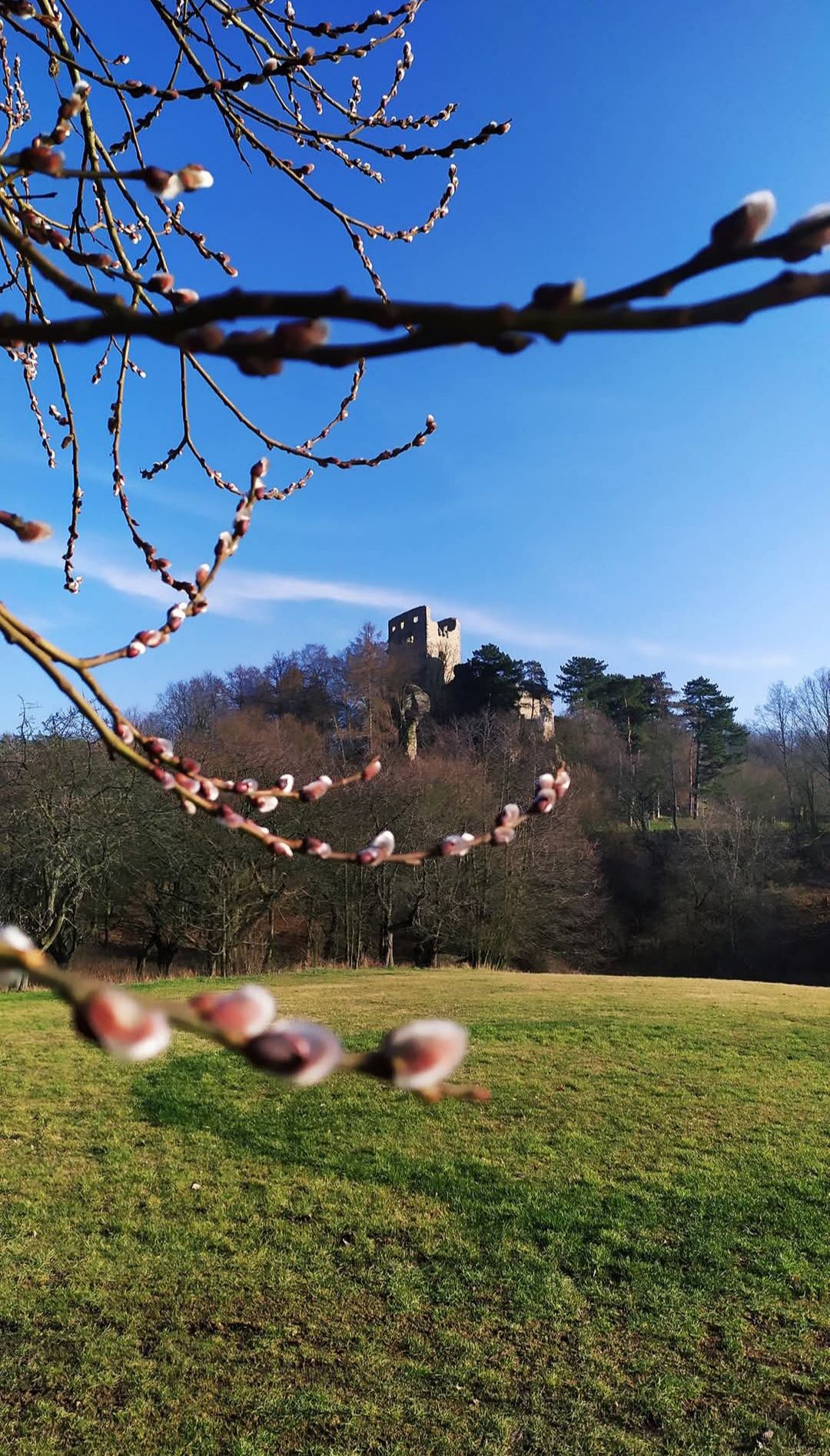 foto Zbyněk Homolka