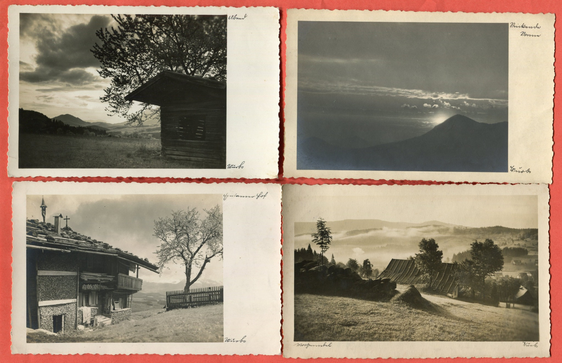 archiv Tomáš Pazderník