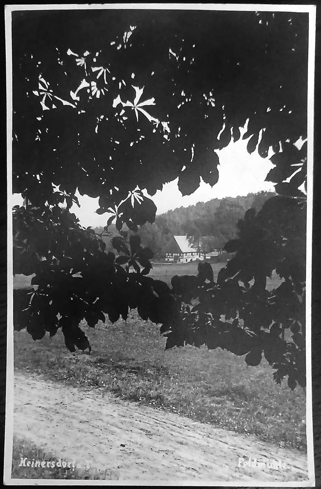 Jindřichovice pod Smrkem.Polní mlýn. (archiv Václav Honzejk)