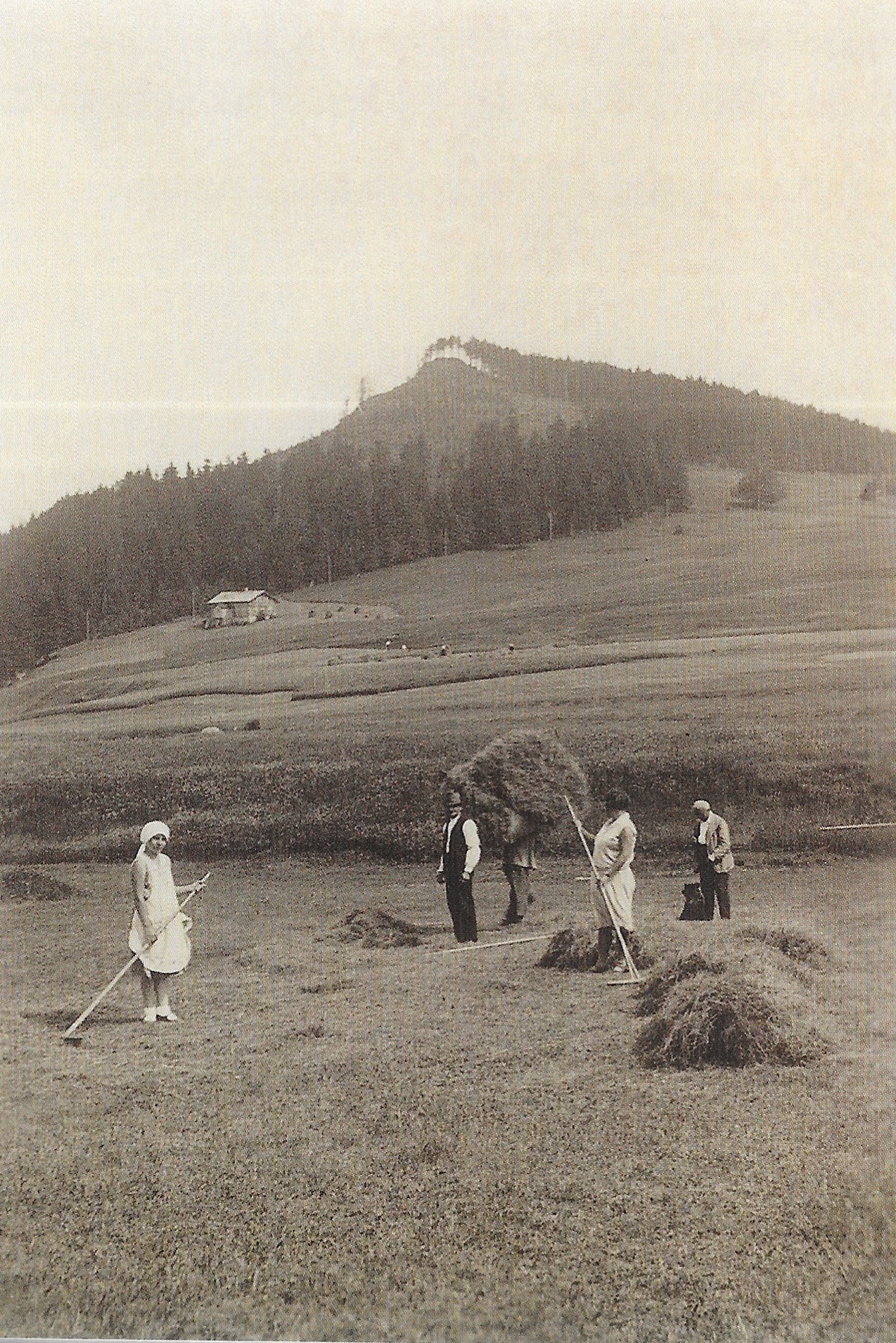 sekání louky místními hospodáři kolem roku 1930