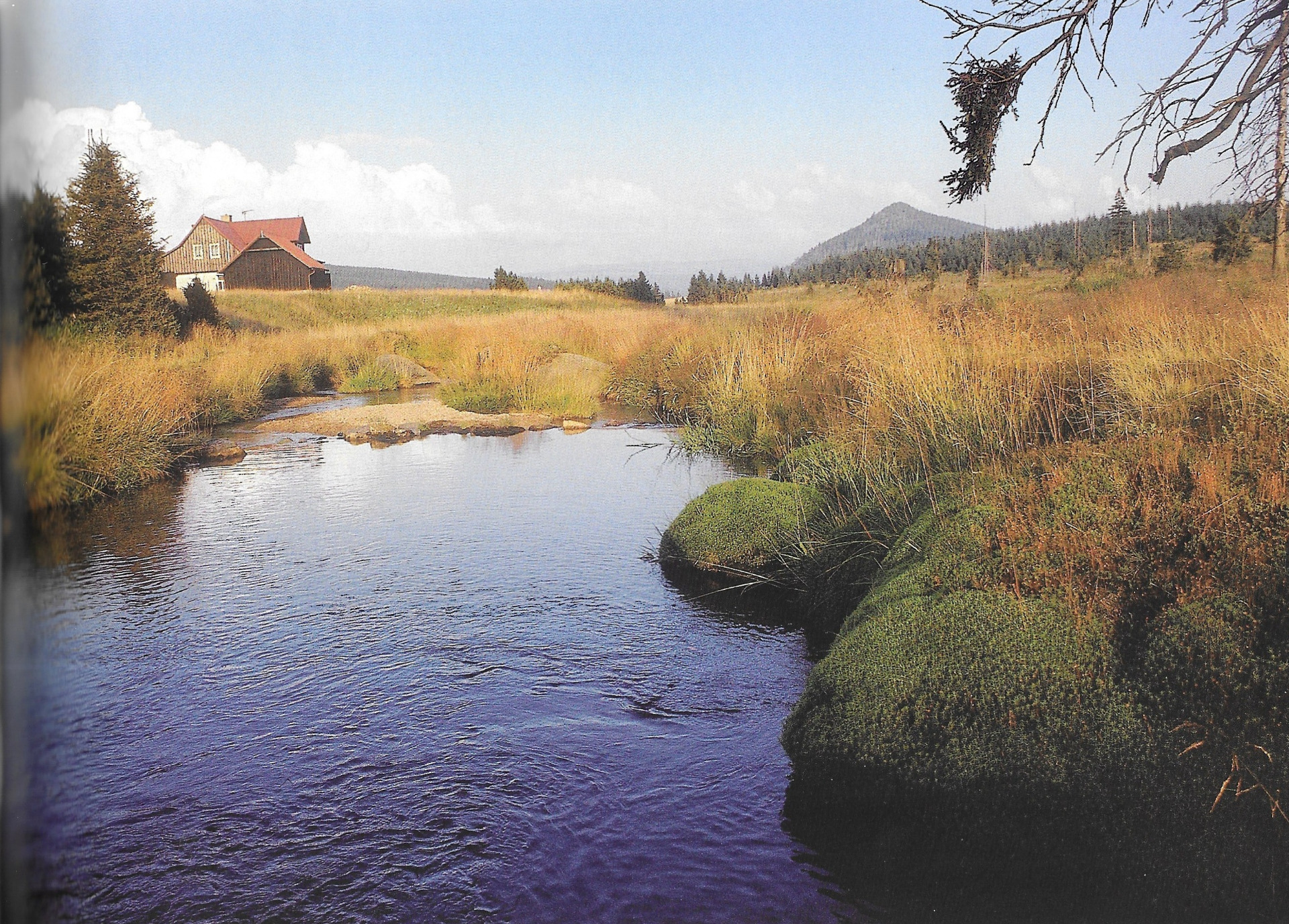 takzvaný malířský kout na Jizerce