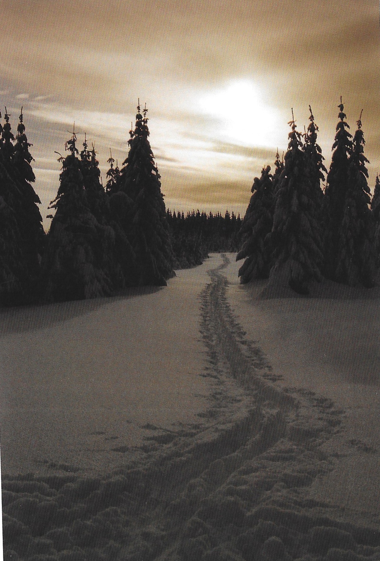 Na Vlašském hřebeni poblíž Zámků