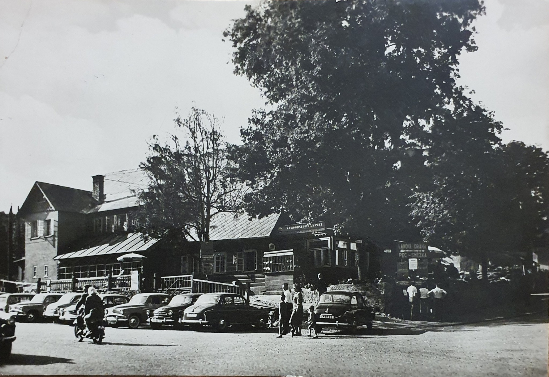 archiv Dana Steinhauserová