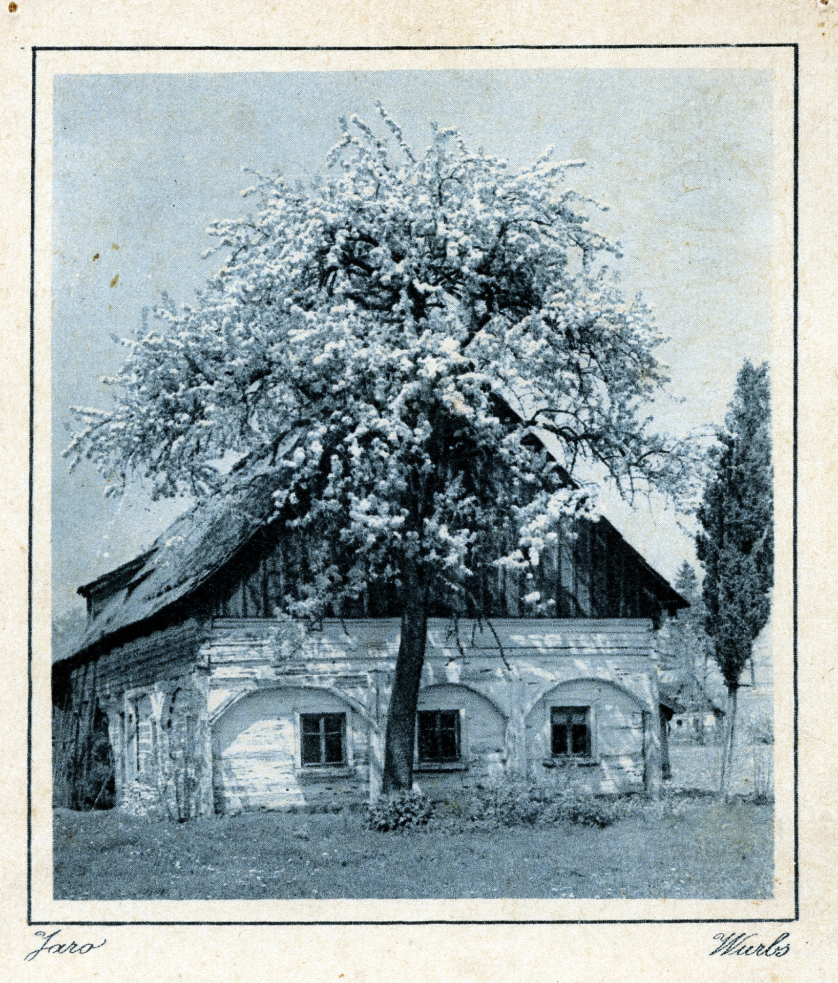 Alesz Prochaszka - Lichtbild vydáno 1927, tak možná foceno o nějaký rok dříve