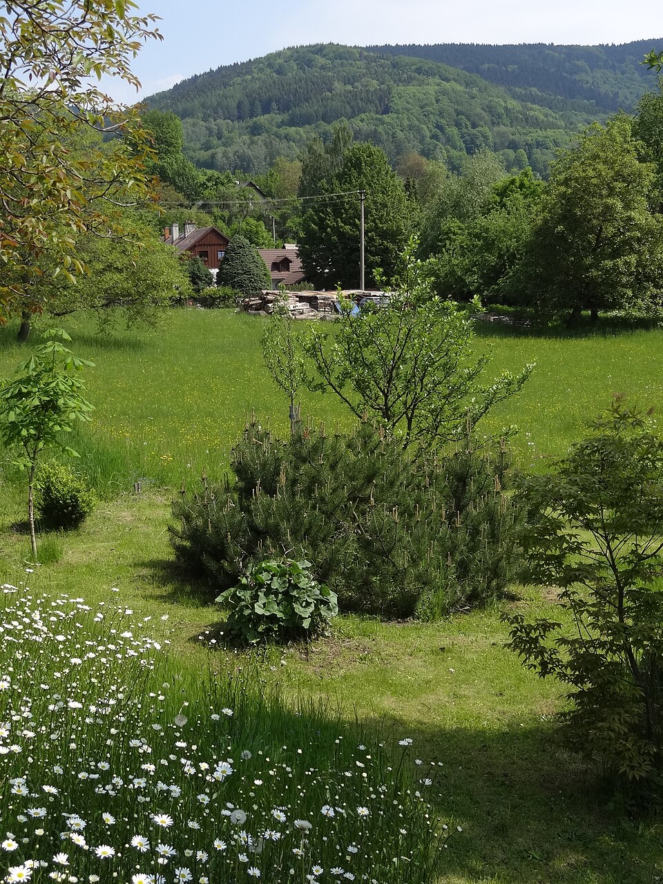  2 ⁄ 6 Více informací  celkový pohled od jihu, v pozadí Vápenice