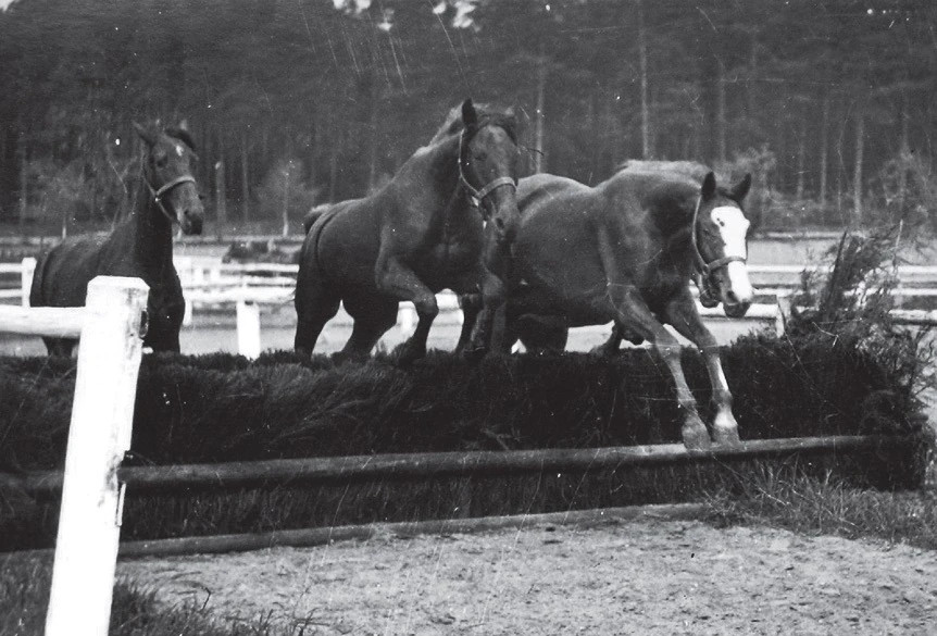 Dráha mezi hlavní budouvou a rybníkem.