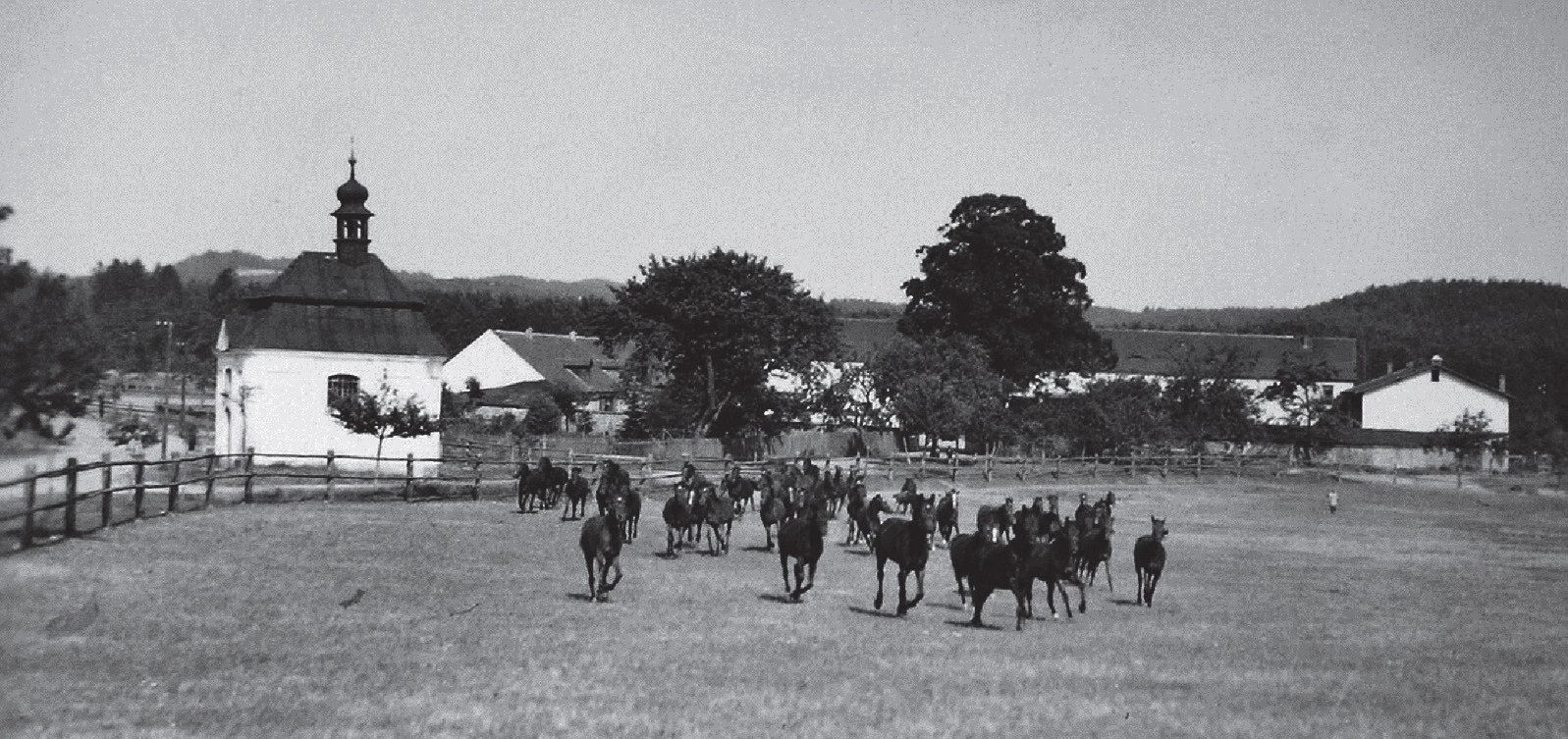 Koně na pastvinách jižně od silnice Mimoně do Svébořic, v pozadí objekty Nového Dvora