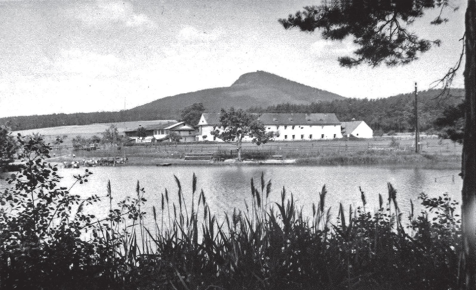 Pohled na Nový Dvůr přes Rybník Fischerteich, zdroj vody, plavení koní i rekreační středisko