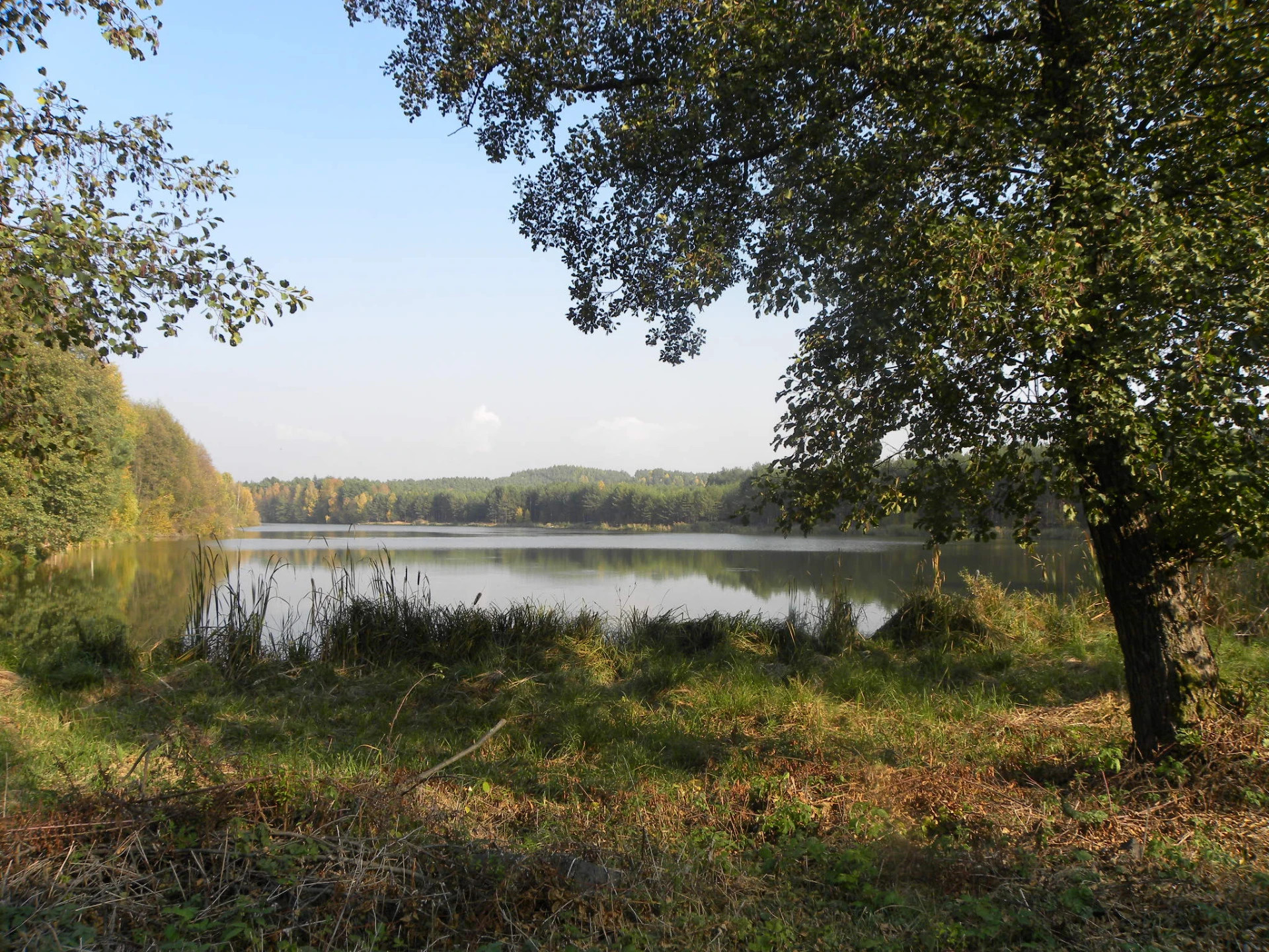 Pohled přes Novodvorský rybník, na protějším břehu stál areál Nového Dvora