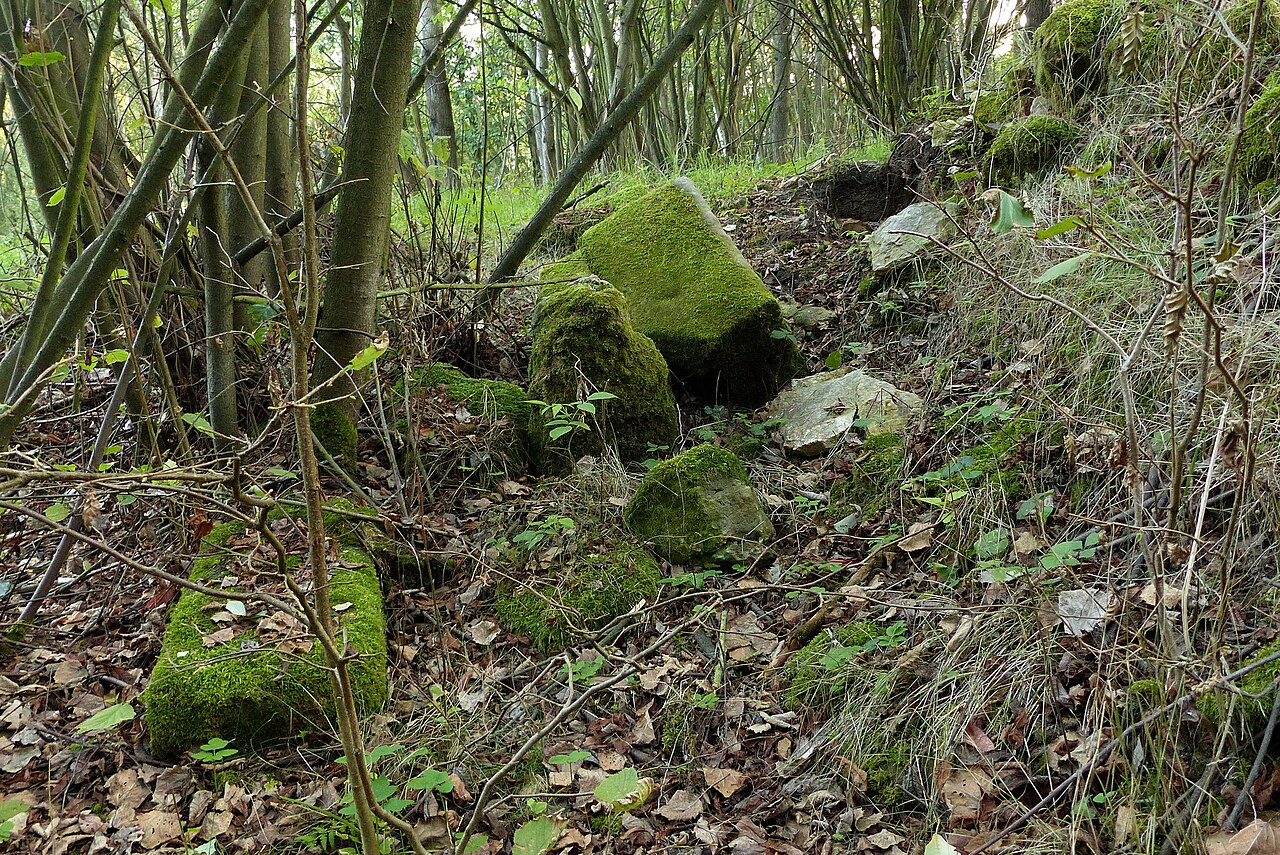 Rozvaliny stavení v bývalém Židlově