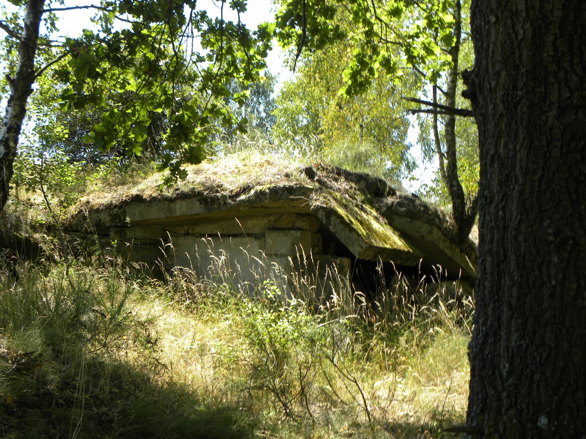 Ruiny domu u hlavní silnice, po levé straně při cestě do Prosíčky
