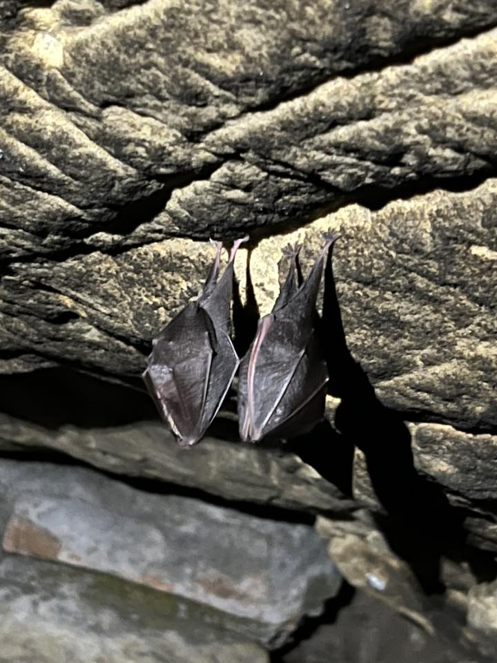 Ája Alishe Loni v říjnu jsme statek navštívili, našli jsme i jeho jediné obyvatele. Škoda ho. Děkuji za foto dřívější podoby 