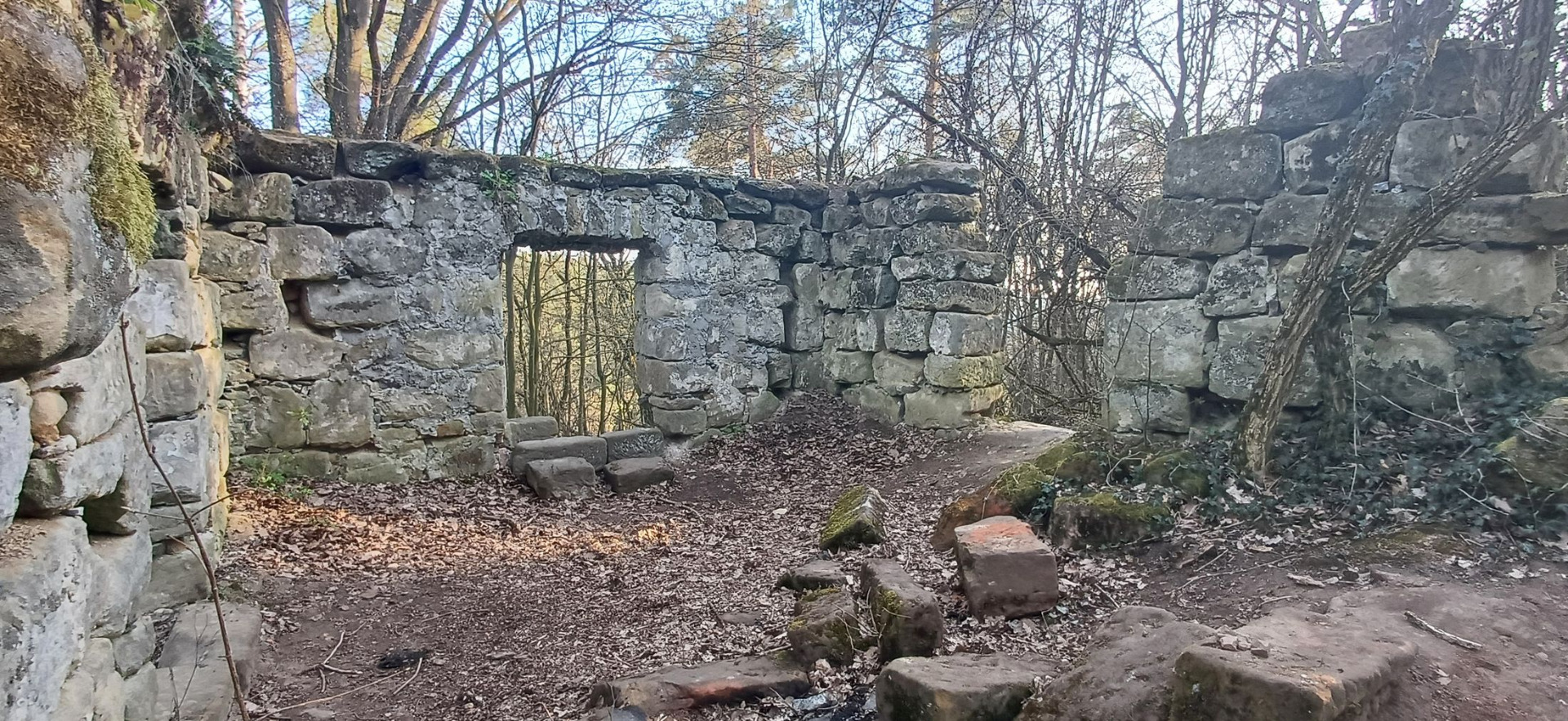 28.3.2025 foto KuldaKing 