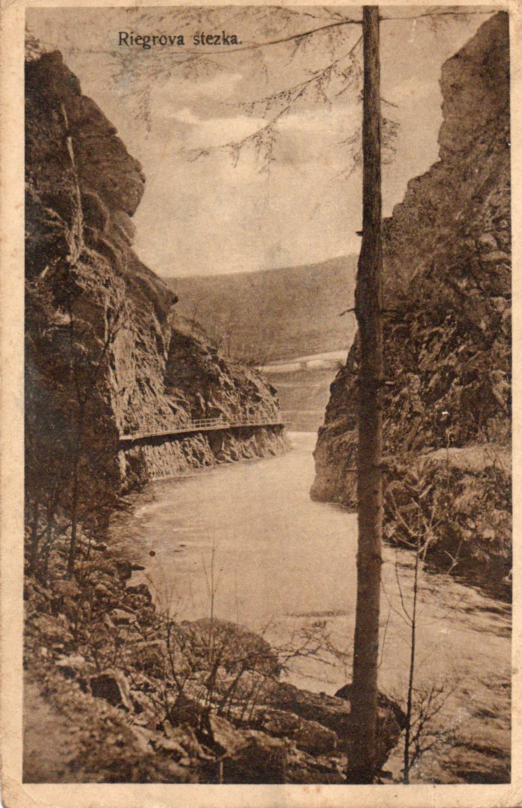 Riegrova stezka 1924 (archiv Vladimír Tichý)