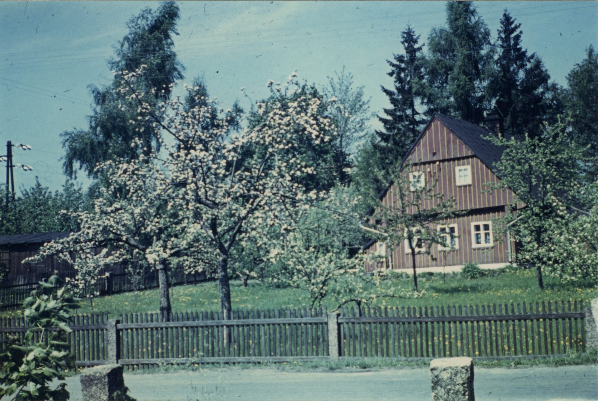 Dnes parkoviště na proti restaurace Rybářská bašta Mšeno. - ulice se jmenovala Sportovní. Tam bydlela paní Hoffmanová, za domečkem byl už hřbitov.  (archiv J.Peterka)
