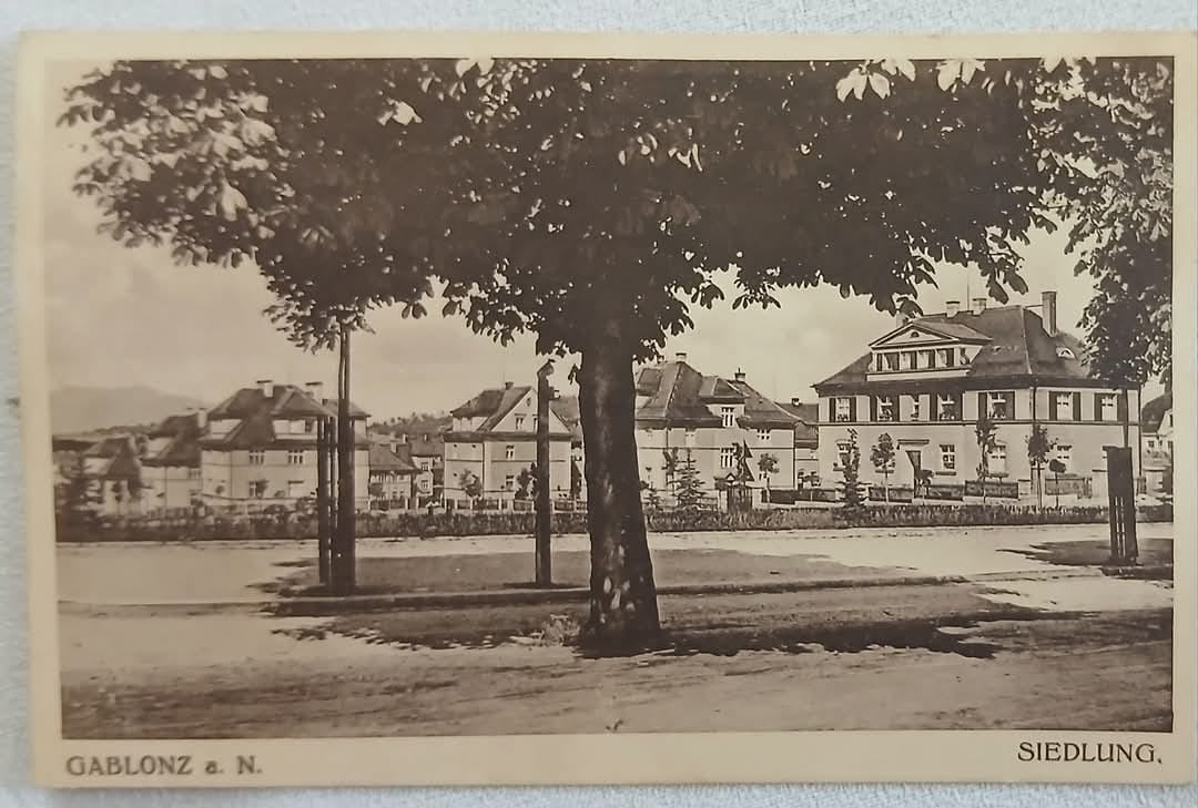 Vrchlického sady...vzdálenější řada domů je dnešní ul.Nástrojařská (archiv Václav Honzejk)