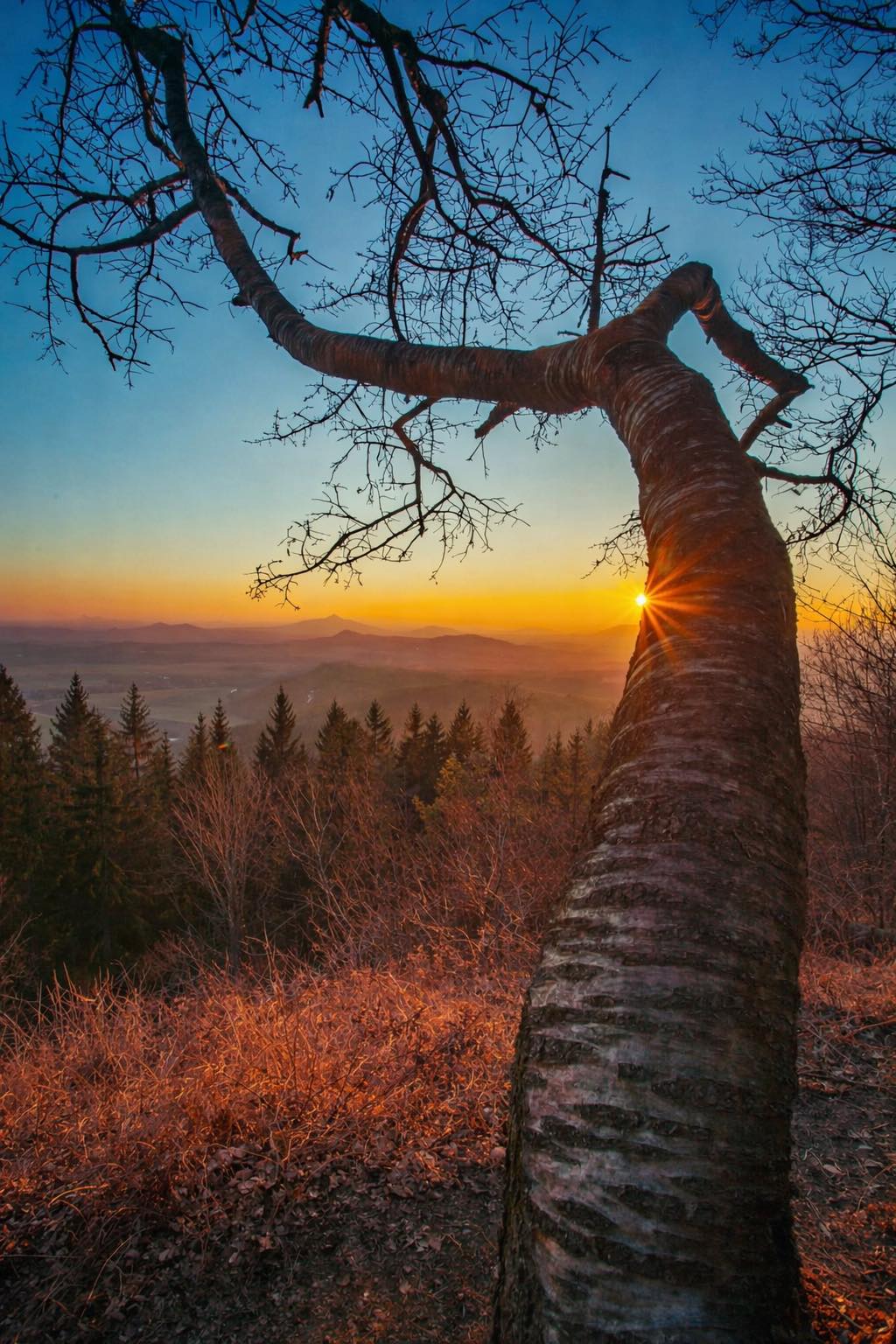 Podještědí ....Solvayův lom ... bývalá lokalita s těžbou vápence pro chemické účely ( výrobu sody v Neštěmicích ). (foto Matyáš Gál)