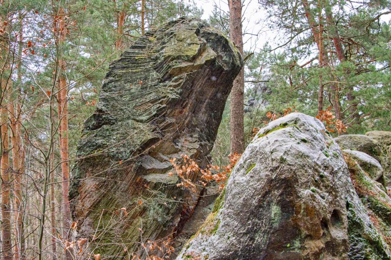 Píslkovcové varhany (foto Jaroslav Hoření)