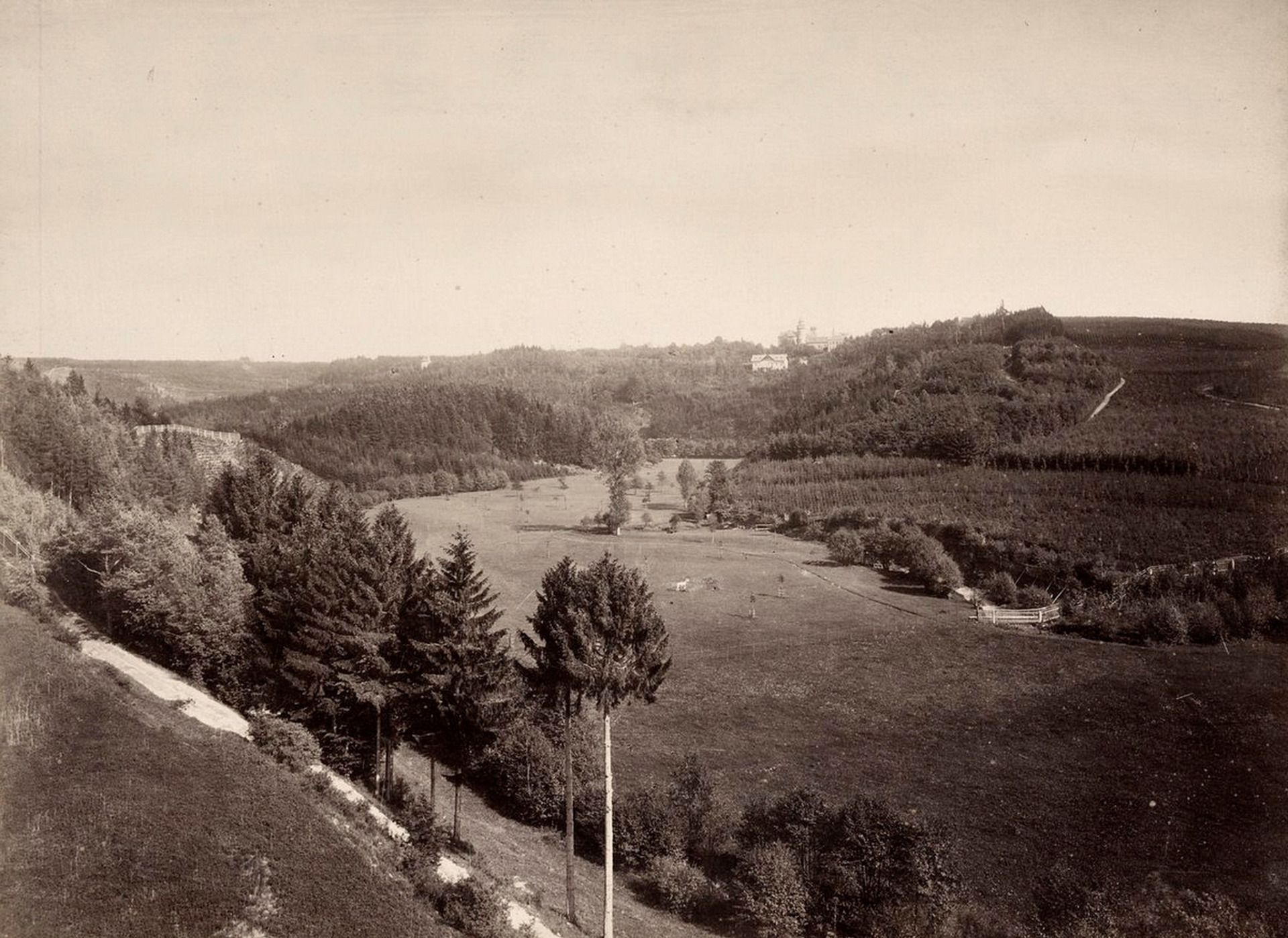 Pohled ze Sychrovského viaduktu. V pozadí zámek Sychrov.  (archiv J.Peterka)