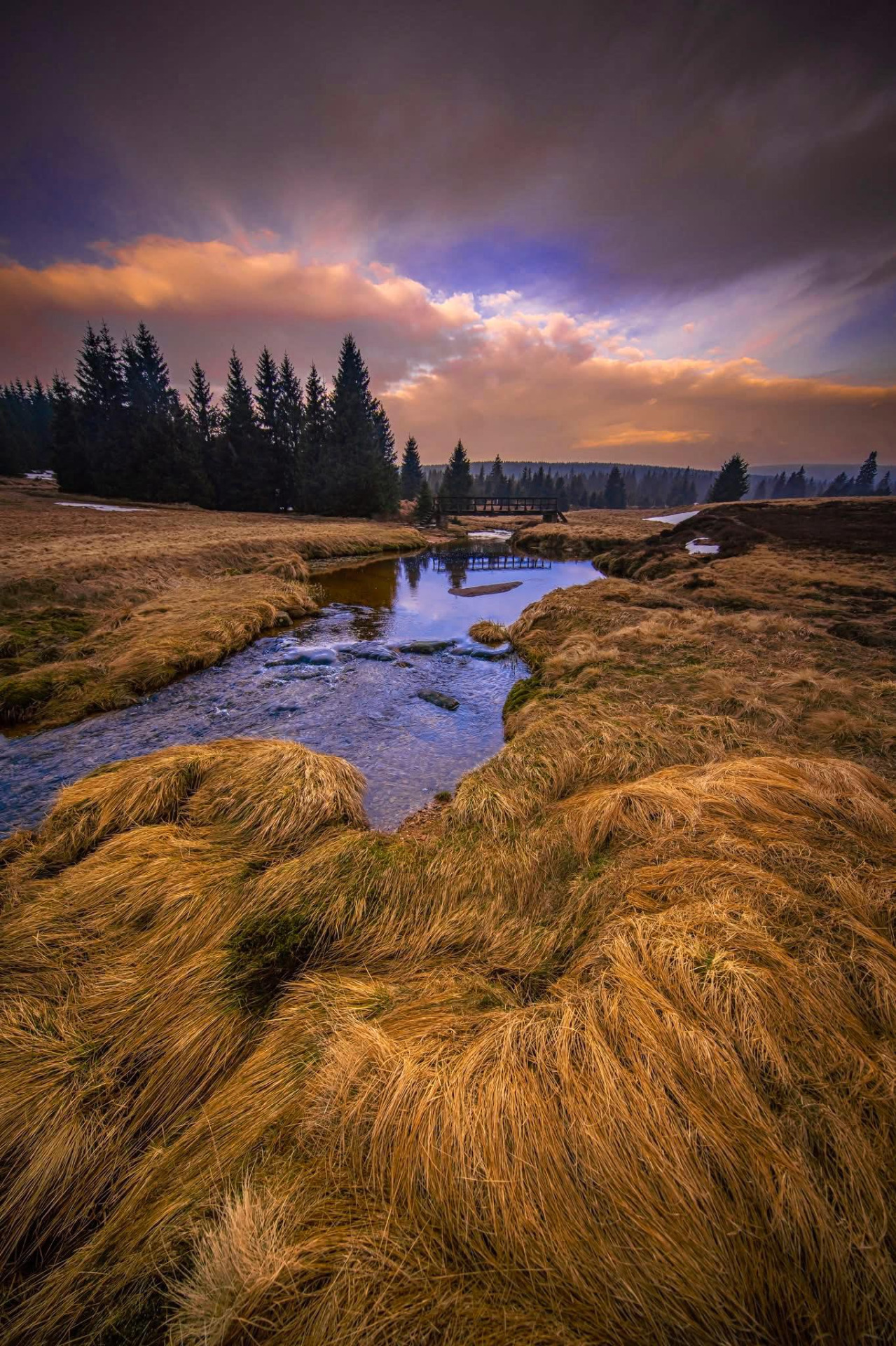 Severská krajina Jizerských hor v okolí říčky Jizerky. (foto Matyáš Gál)