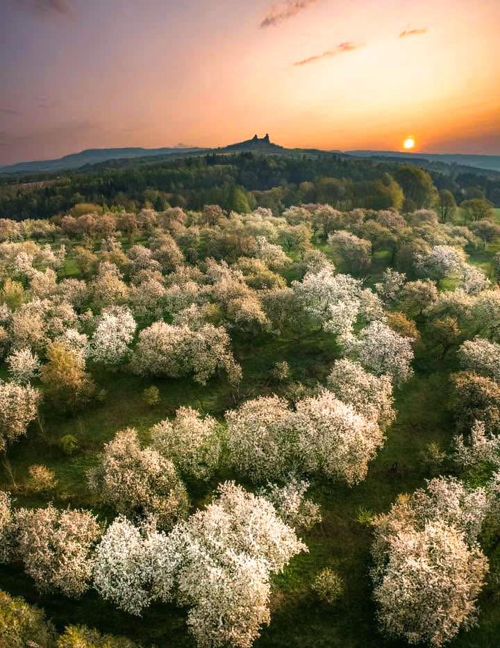 Český ráj ... Nebákov. (18.4.2026 foto Matyáš Gál)