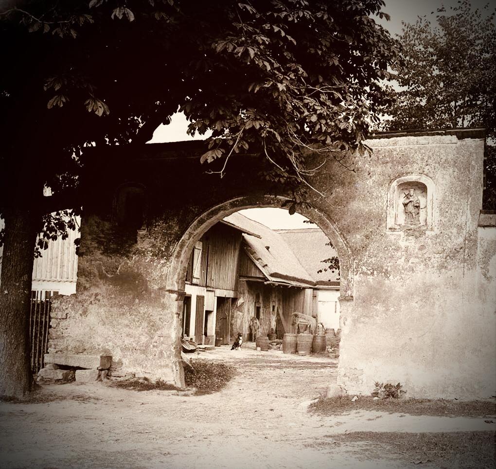 Vrata statku „u Šulců“. Hezký náhled do dvora statku s dřevěnými sudy. Sychrov, 1906 Zdroj: Archiv Národního muzea