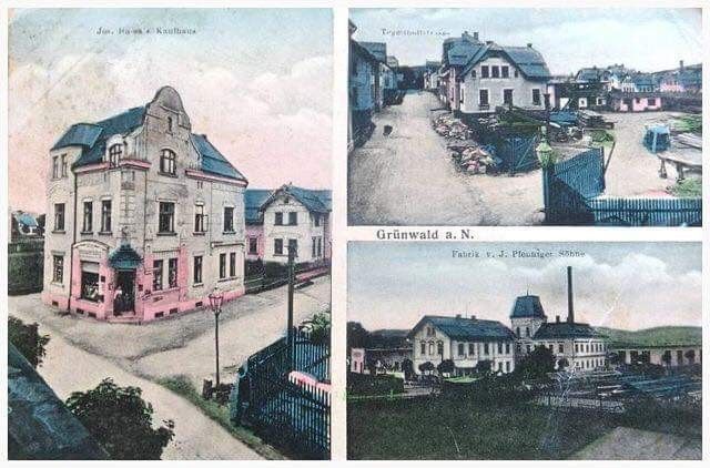 archiv T.Mayer