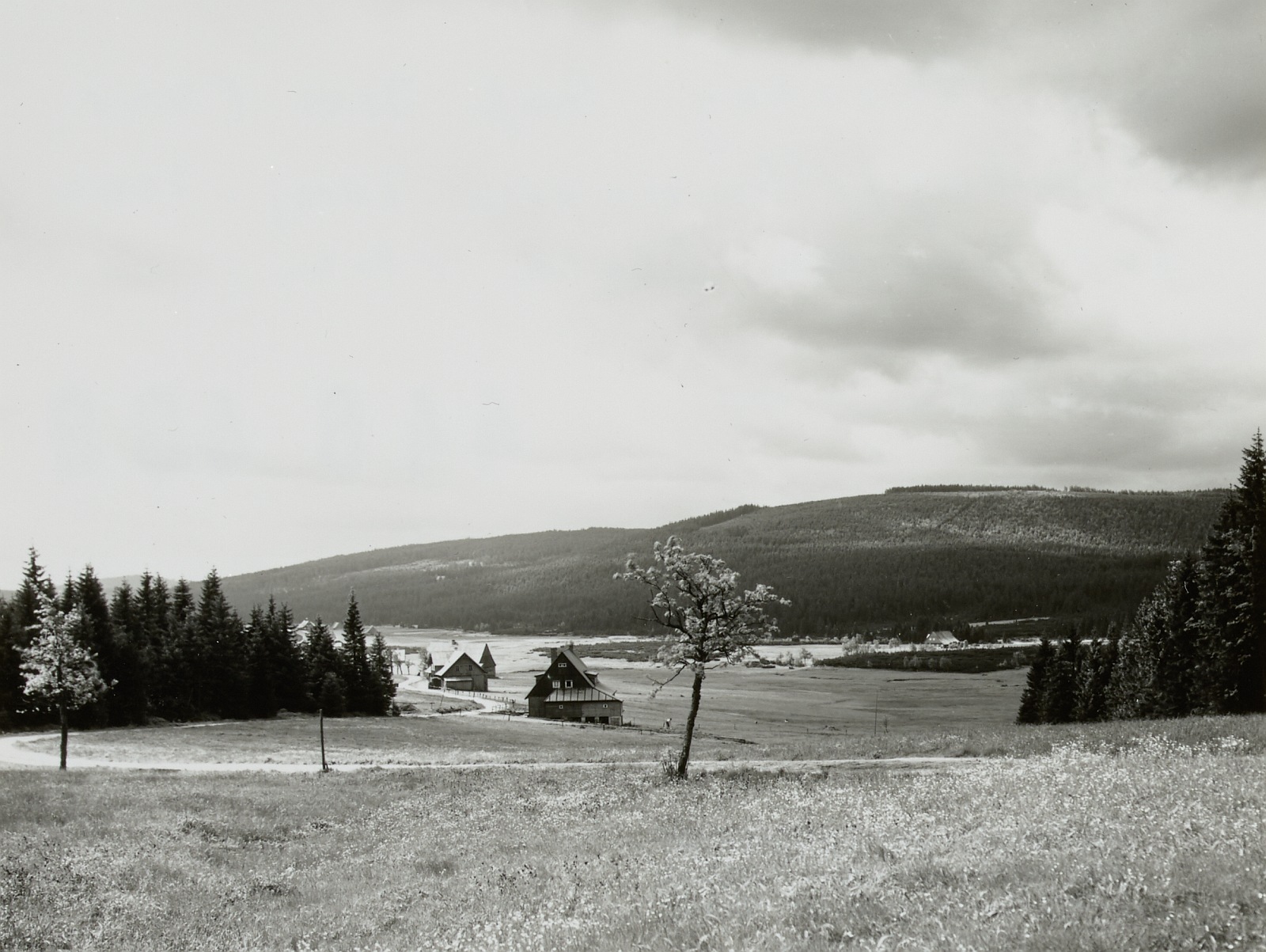 Foto: Paul Schulz, 1935.06