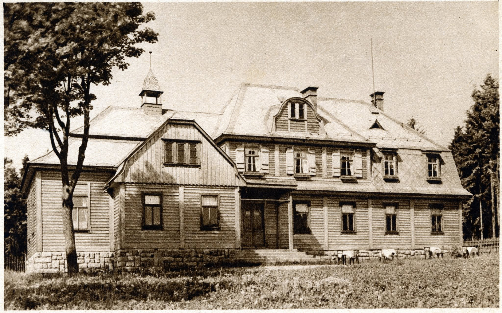 Na mé pohlednici 1924 je to Dornstbaude-Gränzendorf Johannesberg , dnešní Hašlerka (archiv Aleš Procházka)