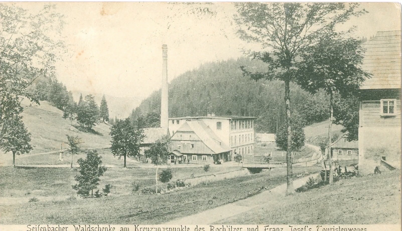 Rýžoviště😀🫶 Foto: Pension Schäfer: www.schafer.cz