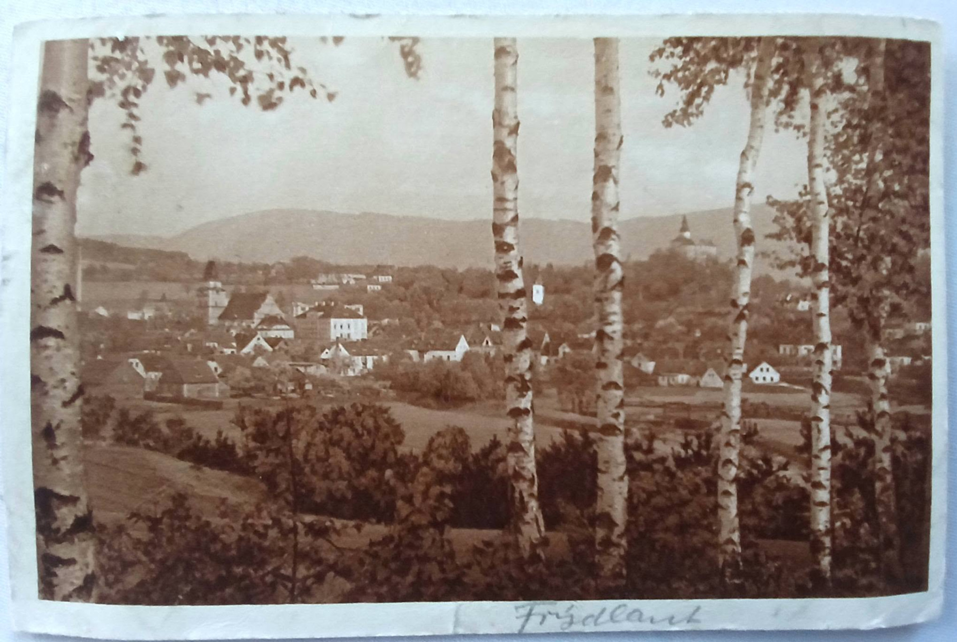 Pohled přes břízky na Frýdlant.Pohlednice od Bohumila Wurbse (archiv V.Honzejk)