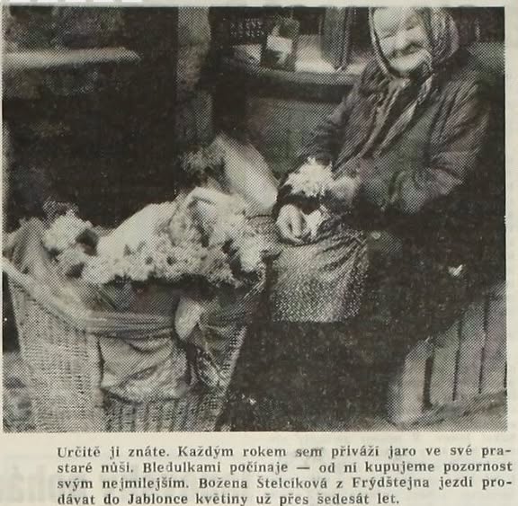 Jaro 1970...............nejraději jsem si kupovala fialky. (archiv Erka Bergmann)