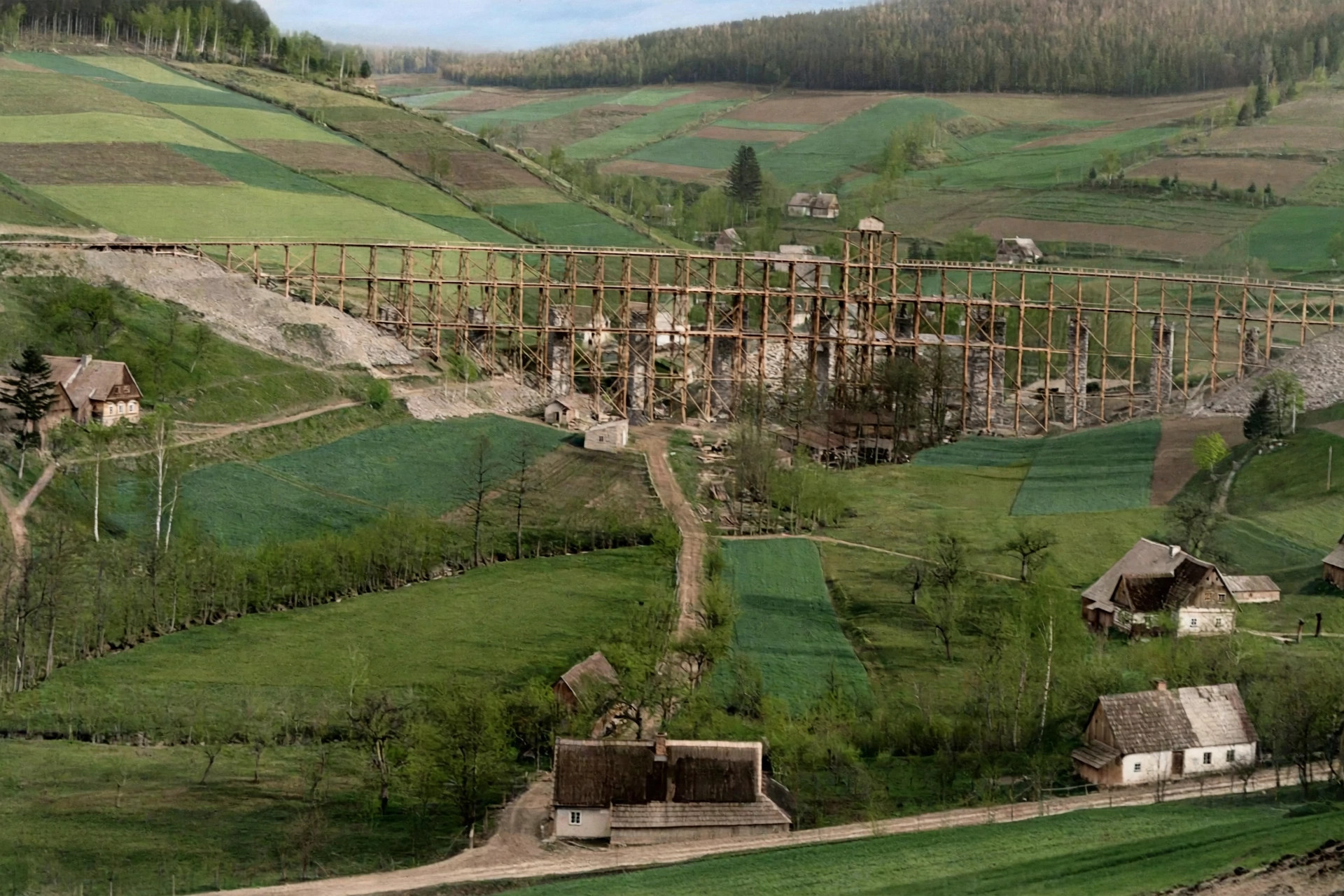 kolorováno