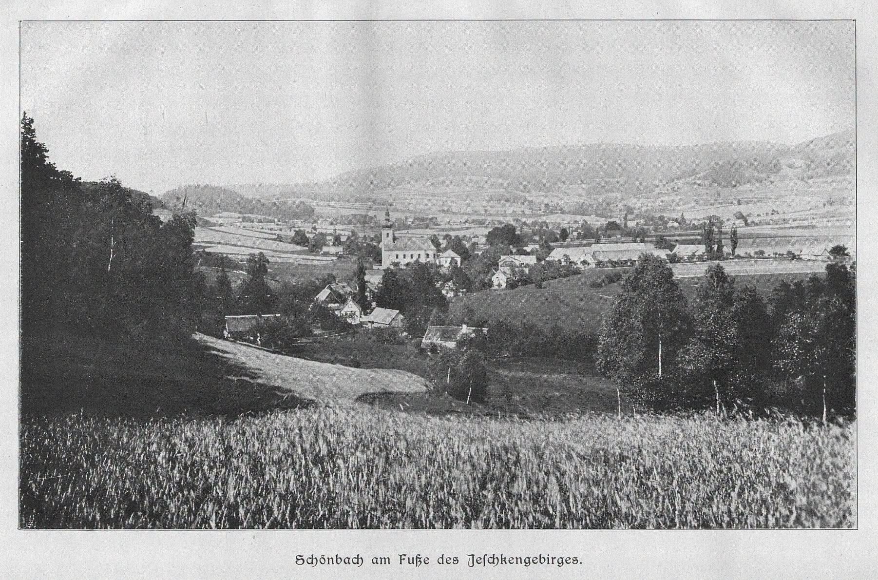 1906